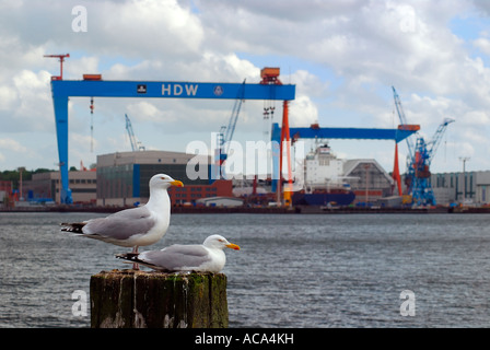 Vue sur le Fjord de Kiel à Howaldtswerke-Deutsche Werft (HDW), entreprise de construction navale, avec une paire de goélands argentés (Larus argentatu Banque D'Images