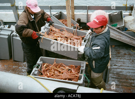 Canada Terre-Neuve deux hommes tenant des caisses de crabes elevated view Banque D'Images