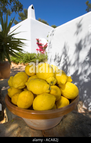 Les citrons dans un bol sur l'île de Ibiza, Espagne Banque D'Images