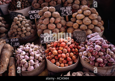 Pommes de terre des Andes - AREQUIPA, PÉROU Banque D'Images