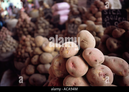 Pommes de terre des Andes - AREQUIPA, PÉROU Banque D'Images