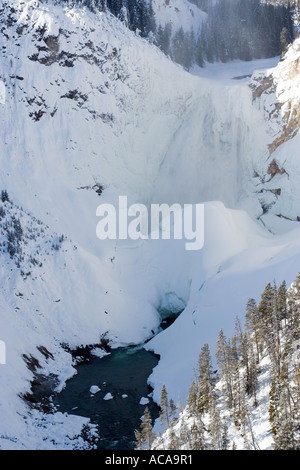 Dans la partie inférieure de près de la tombe de Yellowstone Inspiration Point, le Parc National de Yellowstone, Wyoming Banque D'Images