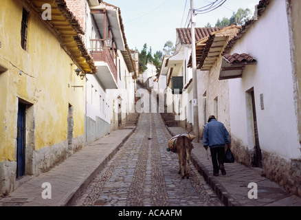 Mule homme menant à travers des rues de Cuzco, Pérou Banque D'Images