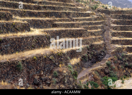 - Terrasses Inca Pisac, Urubamba, PÉROU Banque D'Images