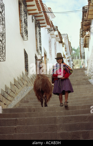 Femme Quechua et de lama - CUSCO, PÉROU Banque D'Images