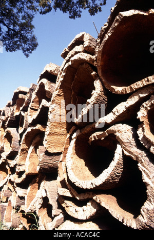 Écorce de liège comme matière première après le retrait de l'arbres de chêne liège au Portugal extérieur empilés Banque D'Images