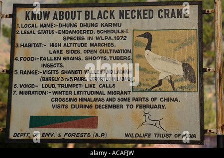 Panneau d'information sur les grues à cou noir Grus nigricollis en vallée de l'Arunachal Pradesh, Inde Shangti Banque D'Images