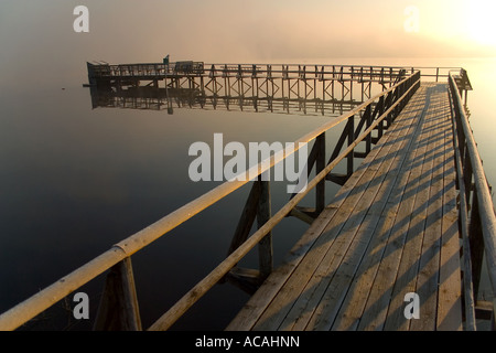 Le lever du soleil, à Bad Buchau Federsee, en Haute Souabe, Bade-Wurtemberg, Allemagne Banque D'Images