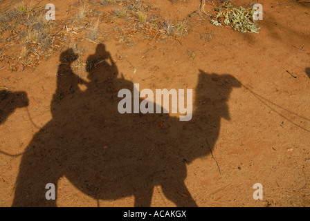 Camel safari, Alice Springs, Territoire du Nord, Australie Banque D'Images