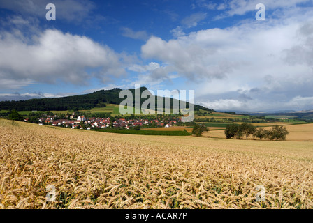 Champ de blé et de l'Hegau Hohenstoffeln volcan en arrière-plan, Weiterdingen, Bade-Wurtemberg, Allemagne, Europe. Banque D'Images