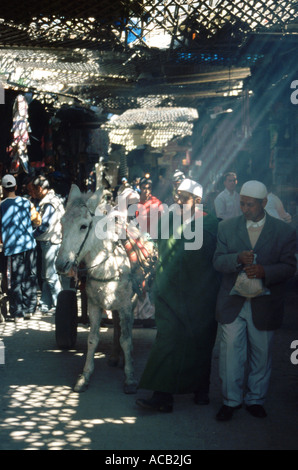 Scène de rue à baldaquin dans le souk medina, Fes el bal, Fes, Maroc, Afrique du Nord Banque D'Images