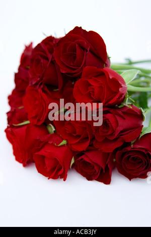 Bouquet de roses rouges à longue tige tourné sur un fond blanc. Banque D'Images