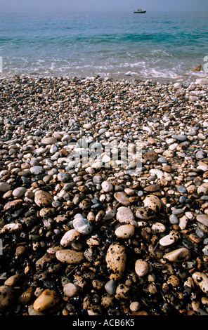 Cailloux couverts par de l'huile sur la plage près de Menton France mai 2003 Banque D'Images