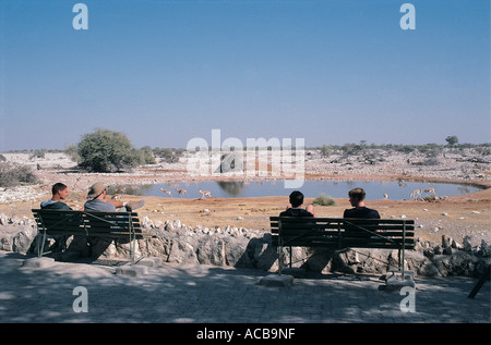 Les touristes regardant boire Springbuck Namibie Etosha National Park Banque D'Images