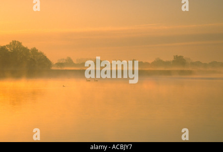 Misty sur Hickling large 'Norfolk Broads' Banque D'Images