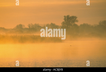 Misty sur Hickling large 'Norfolk Broads' Banque D'Images
