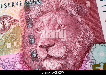 Close up of lion sur 50 Rand Bank note Banque D'Images