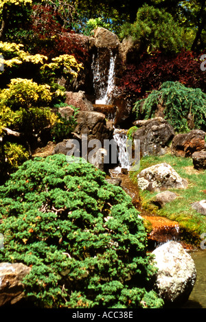 Jardin de thé japonais avec cascade Banque D'Images