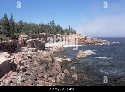 En été, la côte acadienne Banque D'Images