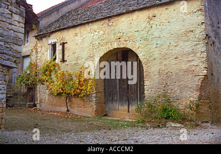 Ancienne grange en pierre française avec porte et vigne Banque D'Images