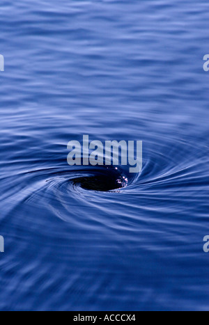 Un tourbillon dans l'eau. Banque D'Images