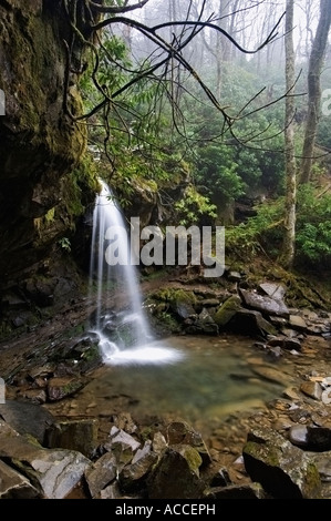 Sentier de randonnée avec chutes grotte derrière Roaring Fork Motor Sentier Nature Parc national des Great Smoky Mountains Tenessee Banque D'Images