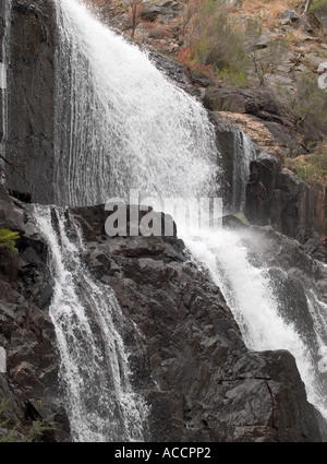 Vue détaillée de McKENZIE FALLS, Halls Gap, LE PARC NATIONAL DES GRAMPIANS, Victoria, Australie. Banque D'Images