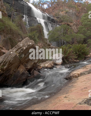 Vue détaillée de mckenzie falls, Halls Gap, le parc national des Grampians, Victoria, Australie. Banque D'Images