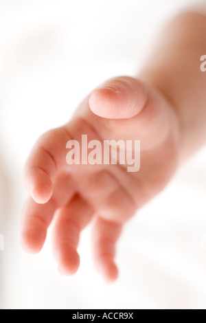 Une main de babys close-up. Banque D'Images