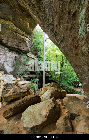 S Gris Arch dans la gorge de la rivière Rouge zone géologique Kentucky Banque D'Images