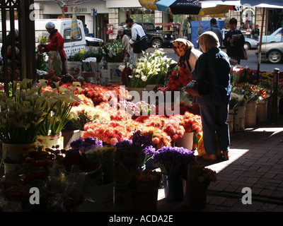 Flower Stall Adderley Street Cape Town Afrique du Sud Banque D'Images