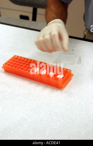 Spécialiste principal de laboratoire la préparation de l'essai d'ADN dans le Nebraska State Patrol Crime Lab. Preuve trouvés sur scène de crime. Banque D'Images