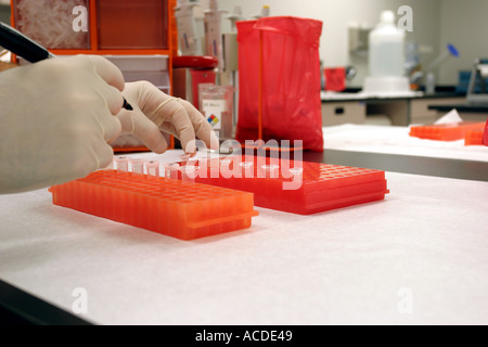 Spécialiste principal de laboratoire la préparation de l'essai d'ADN dans le Nebraska State Patrol Crime Lab. Preuve trouvés sur scène de crime. Banque D'Images