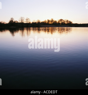 Arbres se reflétant dans l'eau. Banque D'Images