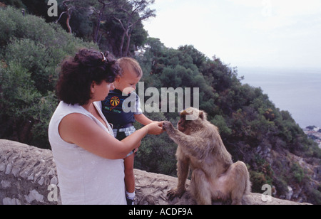 Woman avec son enfant nourrir un singe sauvage à Gibraltar Banque D'Images