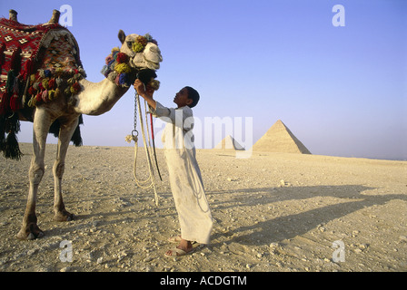 Géographie / voyages, Egypte, personnes, garçon avec camel en face des pyramides de Gizeh, l'Afrique du Nord, pyramide, native, égyptienne, Banque D'Images