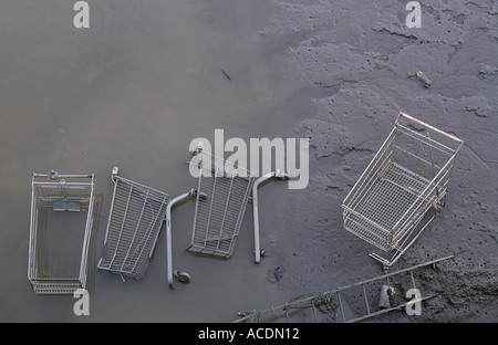Quatre caddies de supermarché de l'échelle et jeté dans la Tamise à Londres a révélé sur les vasières à marée basse, Londres, Angleterre Banque D'Images