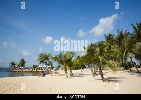 La plage de Siloso tropicaux faite homme terrains cocotiers importés au sable fin de l'ouest de l'île de Sentosa côte sud Banque D'Images
