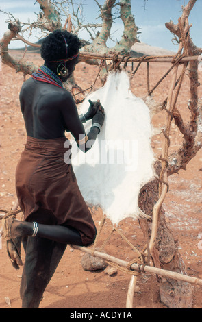 Femme Rendille racler une peau de chèvre tendue en séchant au soleil Korr le nord du Kenya Afrique de l'Est Banque D'Images