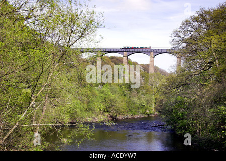 L'Froncysyllte Thomas Telford Aquaduct Trevor Llangollen Denbighshire North Wales UK United Kingdom Banque D'Images