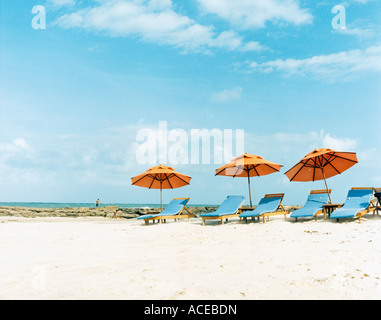 Des chaises longues et des parasols sur la plage. Banque D'Images