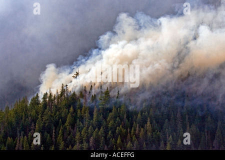 Komsomolsk Russie Juin 2007 Un incendie de forêt dans une région éloignée de la forêt de la taïga sibérienne Banque D'Images