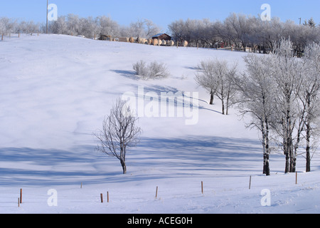 Ligne de clôture d'hiver Banque D'Images