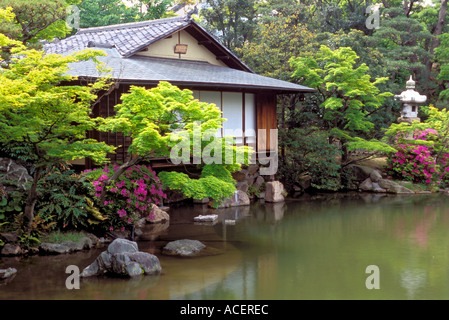 Maison de thé au bord de l'étang de koi dans réglage du ressort à Sorakuen Jardin à Kobe Banque D'Images