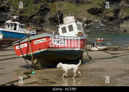 Port Isaac Banque D'Images