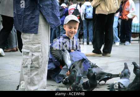 Boy feeding pigeons sur la place San Marco Venise Italie Banque D'Images