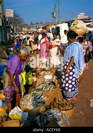 Inde Goa Mapusa du nord de la section des poissons le marché hebdomadaire Banque D'Images