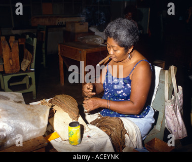 Femme avec un cigare dans la bouche travaillant dans l'usine de tabac cubain Banque D'Images
