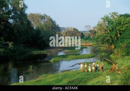 Un groupe de marcheurs l'observation des oiseaux sur une randonnée sauvage avec Ecotraining sur les rives de la rivière Luvuvhu Parc National Kruger Banque D'Images