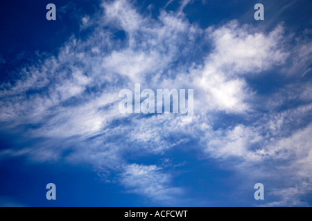 Les cirrus blancs dans un ciel bleu lumineux polarisé Banque D'Images